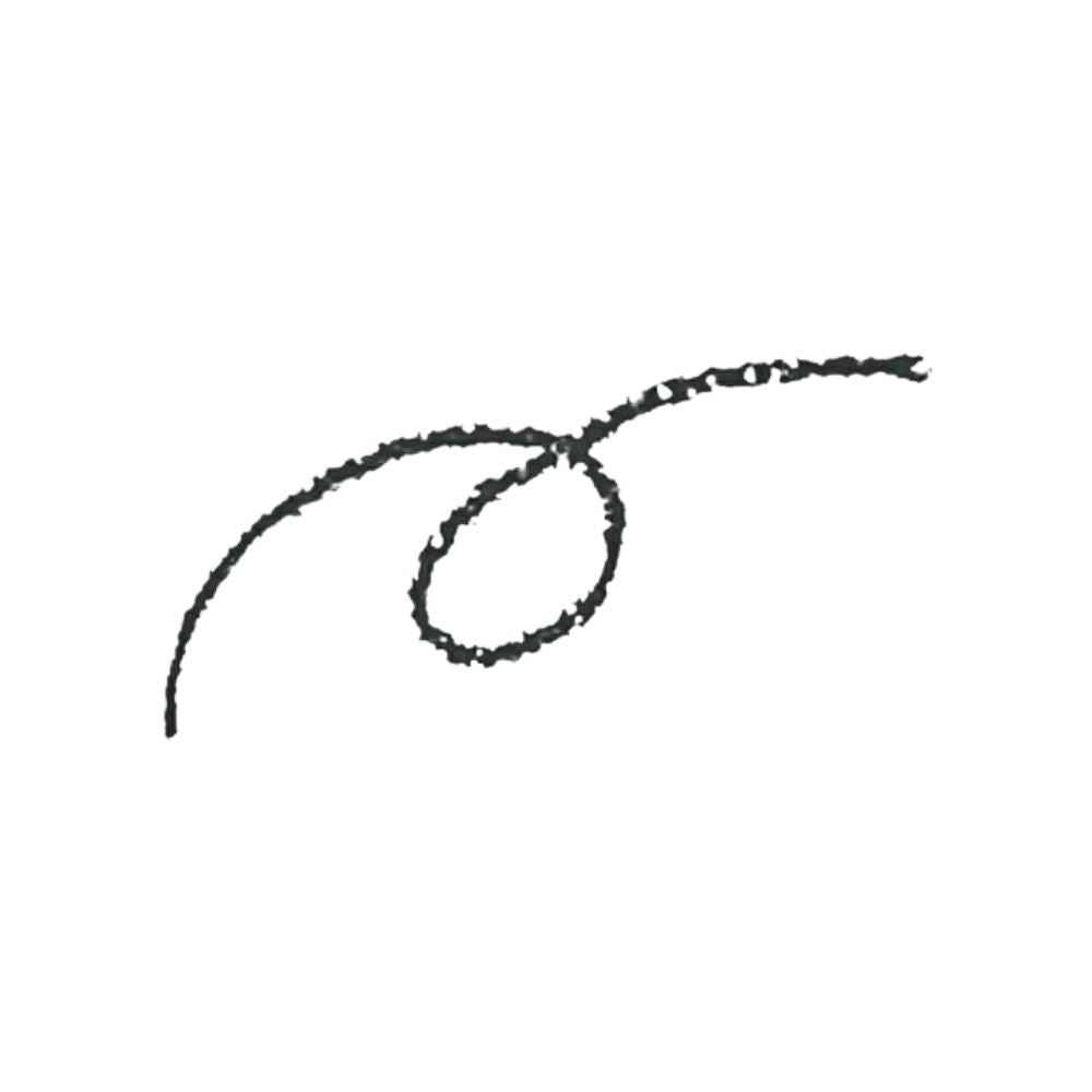 SHISEIDO Majolica Majorca Linemania Pencil Eyeliner #Bk999 Black