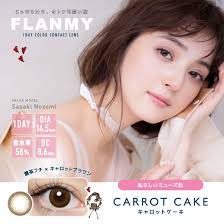 【Old】FLANMY 1Day Contact Lenses 10Pcs (CARROT CAKE)-1.00