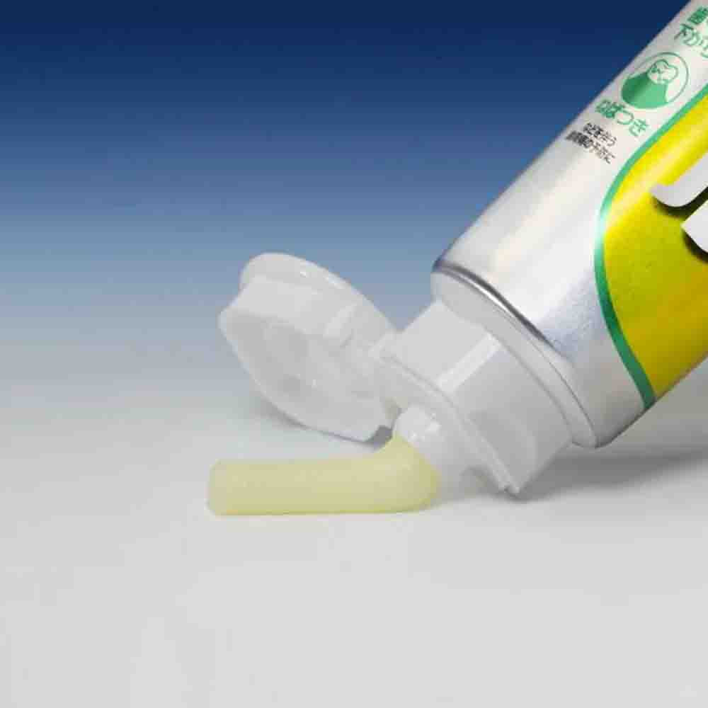 Daiichi Sankyo Healthcare Clean Dental Halitosis Care 100g