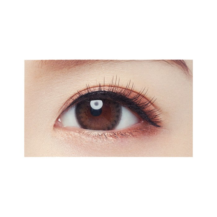 Kiss Me & D-UP Perfect Brow & Lash Gift Set