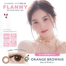 【Old】FLANMY 1Day Contact Lenses 10Pcs (ORANGE BROWNIE)-3.00